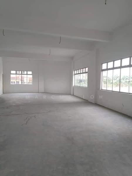 Mount Austin Mounts Austins - 5