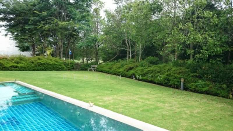 Leisure Farm Professional Length Swimming Pool Bungalow For Sale - 3