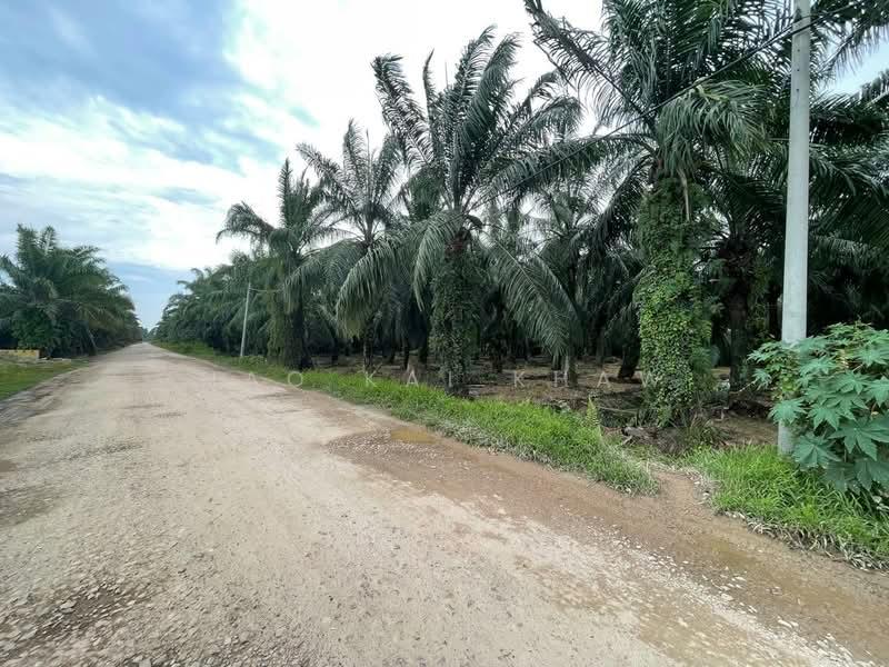 Kampung Sungai Serdang - 3