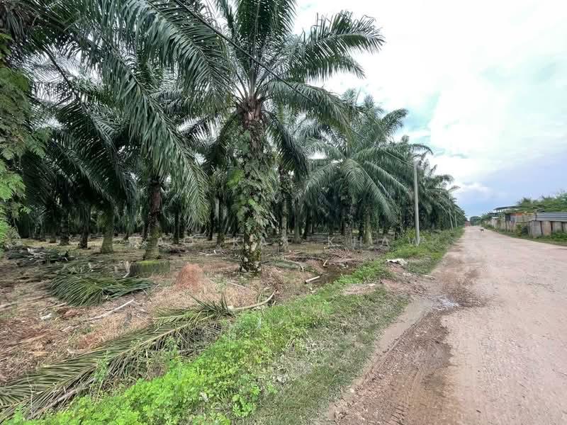 Kampung Sungai Serdang - 4