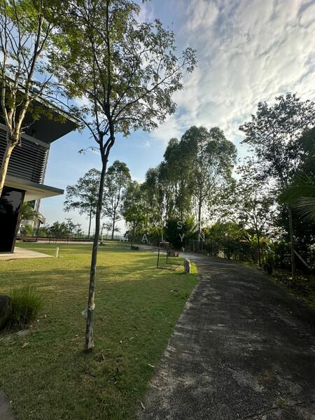 Denai Alam : Ficus Peak - 3