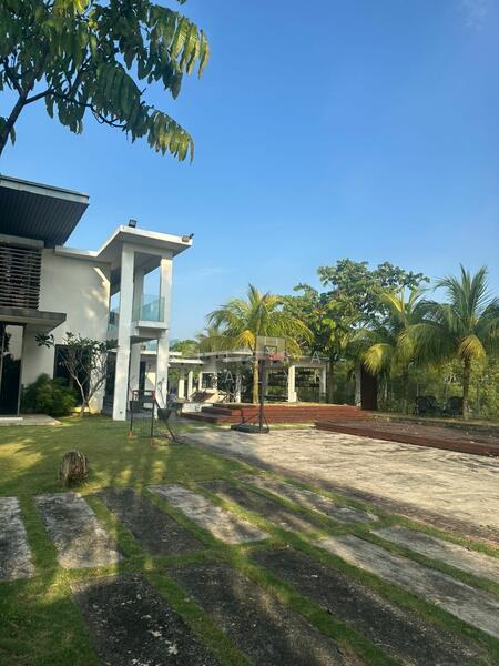 Denai Alam : Ficus Peak - 4