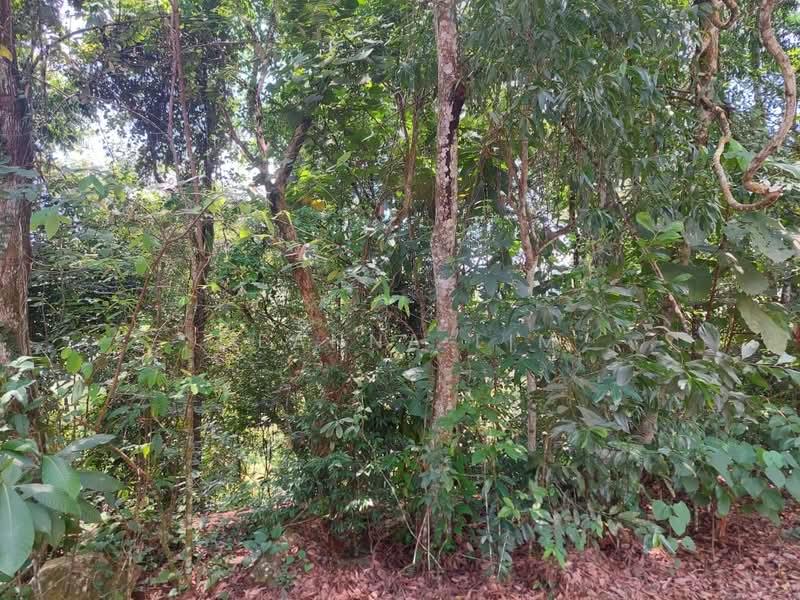 Meru Valley Golf Resort - 2