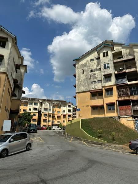 Taman Bunga Raya - 1