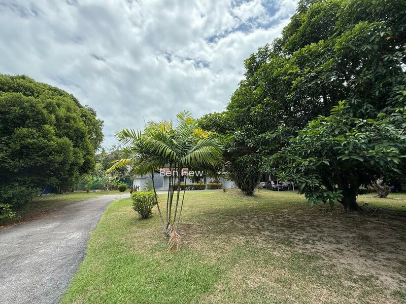 Western Road - 3