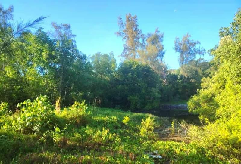 Beachfront Land Port Dickson - 4