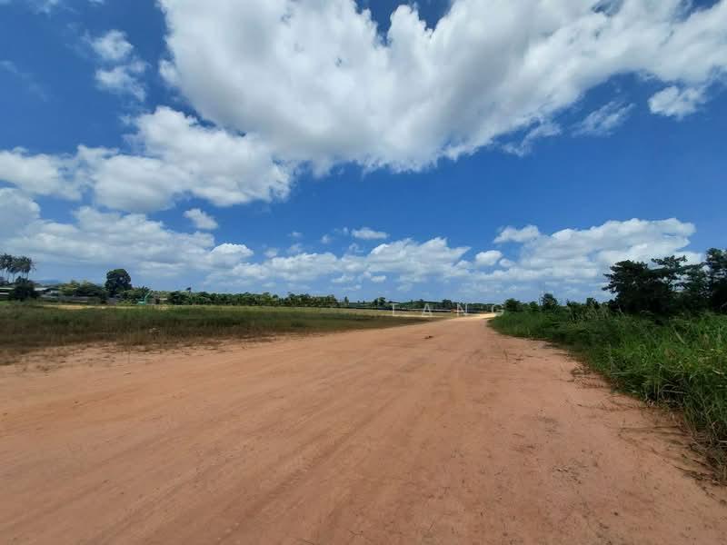 Tanjung Langsat Freehold Heavy Industrial Land - 2