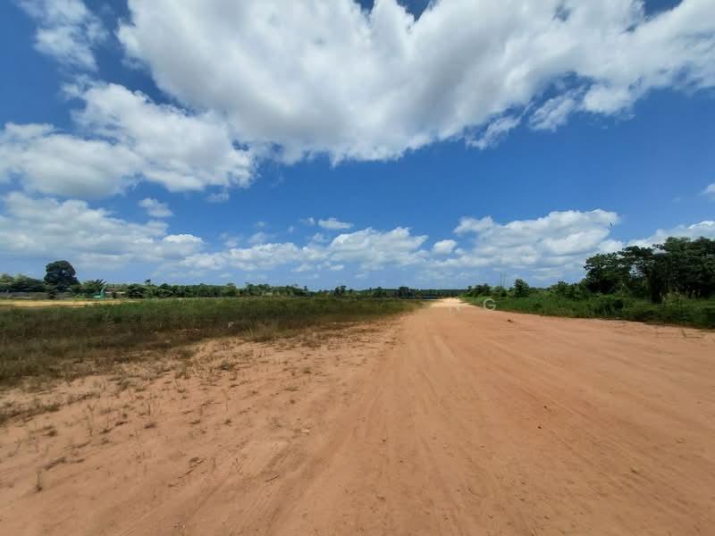 Tanjung Langsat Freehold Heavy Industrial Land - 3