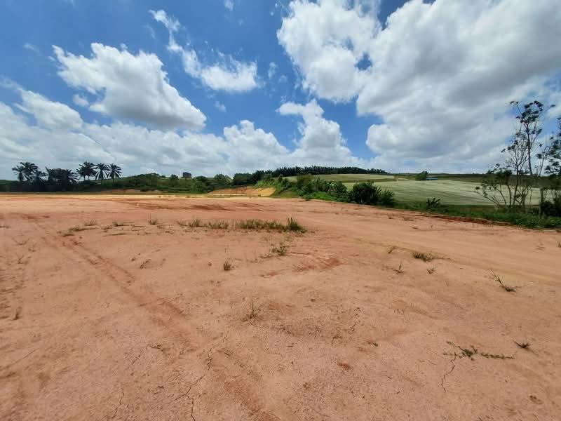 Tanjung Langsat Freehold Heavy Industrial Land - 4