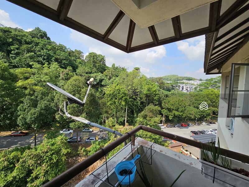 Paradesa Rustica - 2