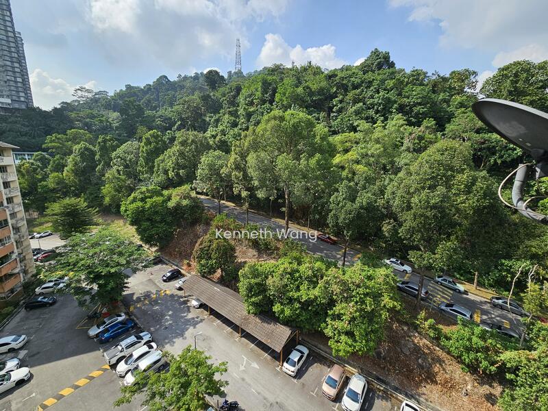 Paradesa Rustica - 3