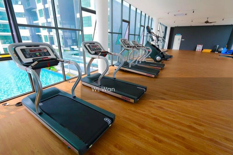 Zeva @ Equine South - 1