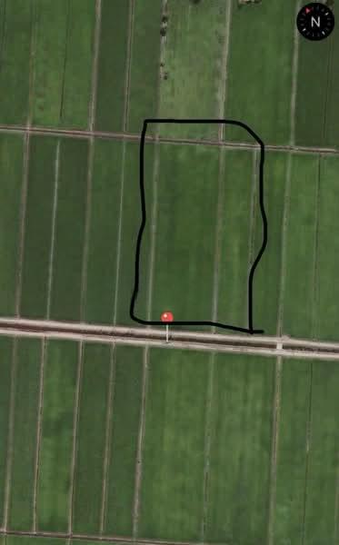 Tanah Sawah Padi - 4