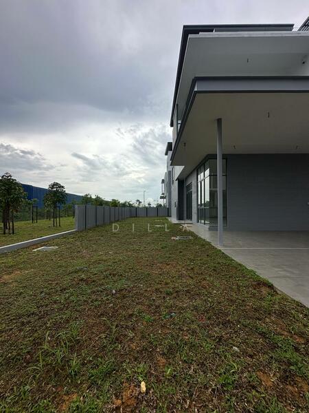 BROAD LEAF(PHASE 2) - 3