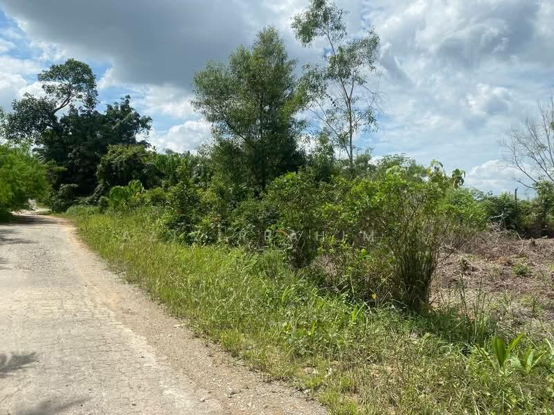 Bukit Damar - 5