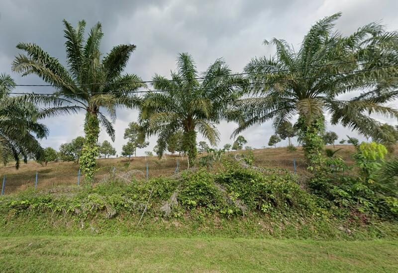 Simpang Pertang, Jelebu Agriculture Land - 2