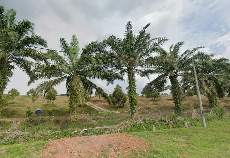 Simpang Pertang, Jelebu Agriculture Land - 3
