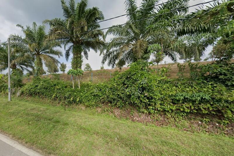Simpang Pertang, Jelebu Agriculture Land - 1