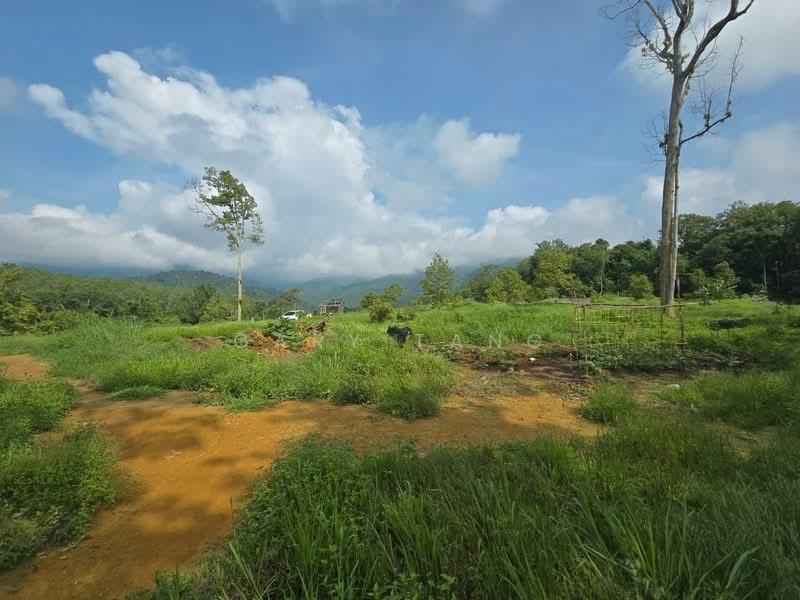 luala kangsar kati - 4