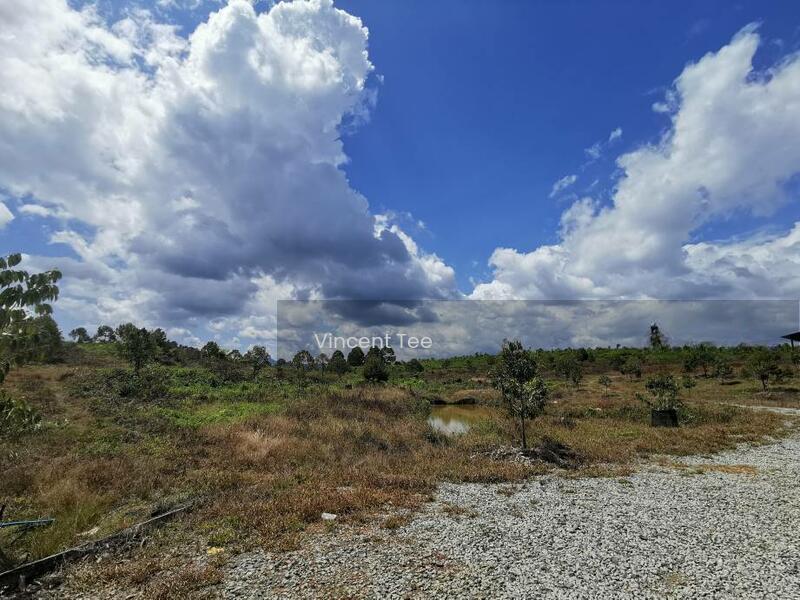 6 Acres Durian Farm Mainroad Frontage Simpang Pertang Jelebu Negeri Sembilan - 1