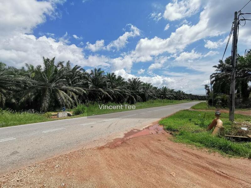 6 Acres Durian Farm Mainroad Frontage Simpang Pertang Jelebu Negeri Sembilan - 4