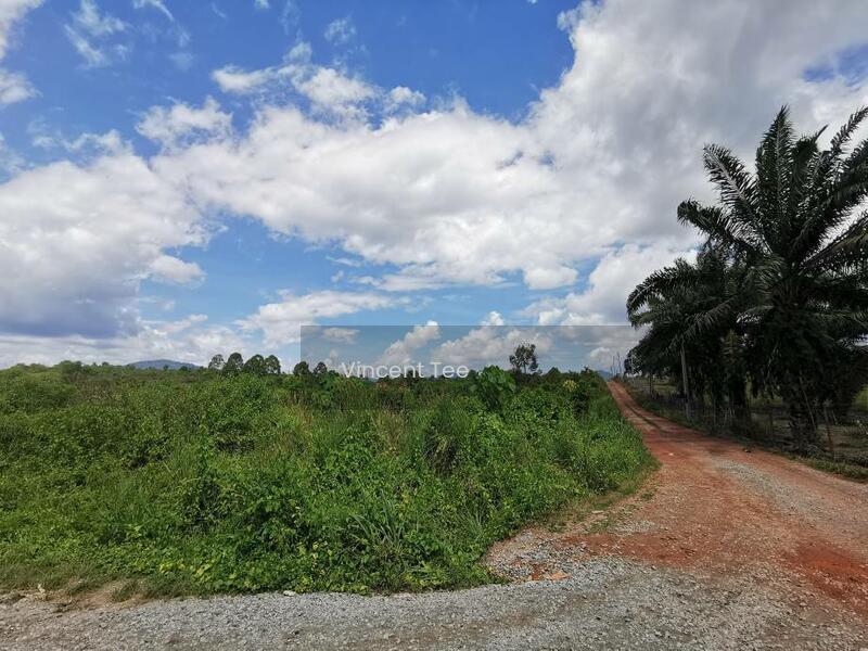6 Acres Durian Farm Mainroad Frontage Simpang Pertang Jelebu Negeri Sembilan - 5