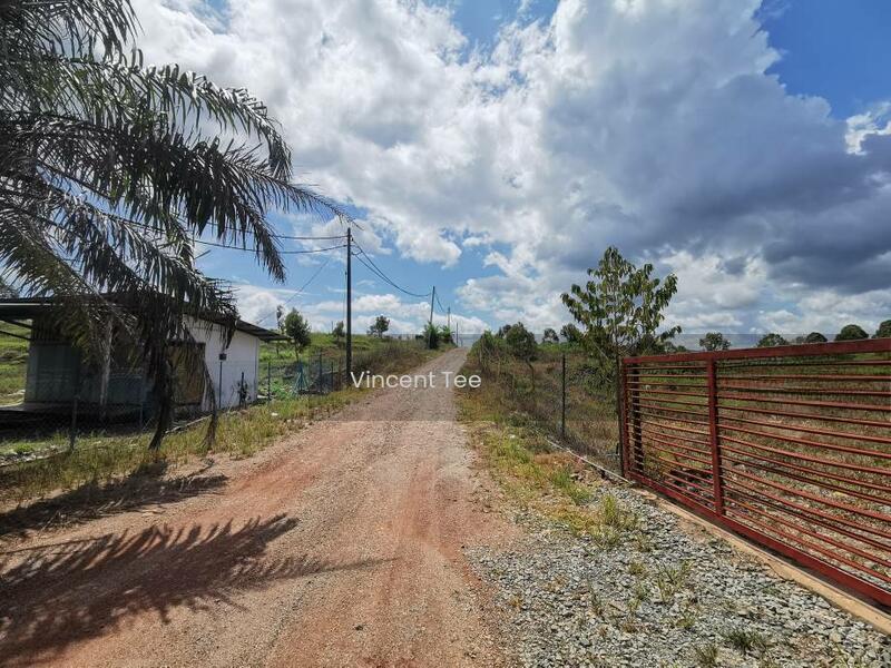 6 Acres Durian Farm Mainroad Frontage Simpang Pertang Jelebu Negeri Sembilan - 2