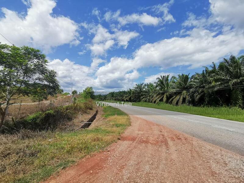 6 Acres Durian Farm Mainroad Frontage Simpang Pertang Jelebu Negeri Sembilan - 3