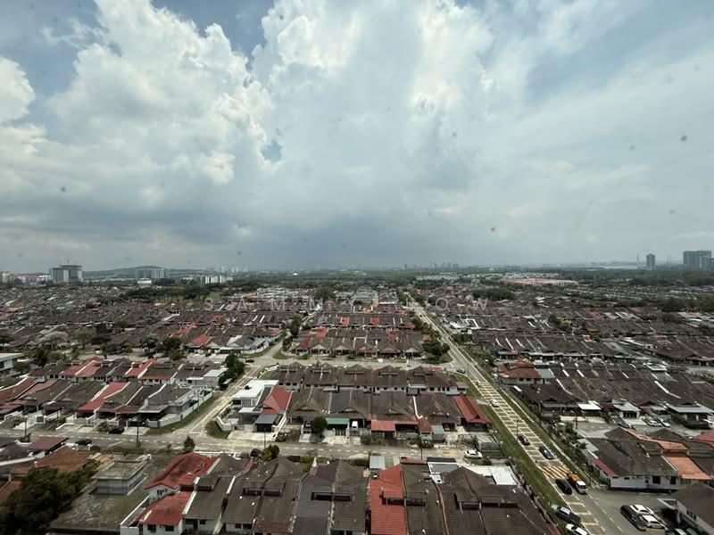 Molek Pulai - 4