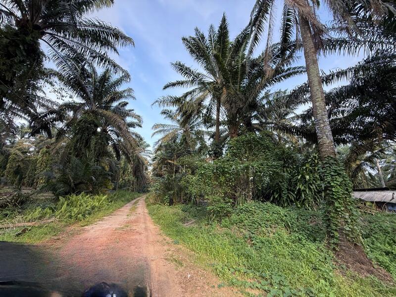 Pontian Jeram Batu Pontians Jerams Batus - 2