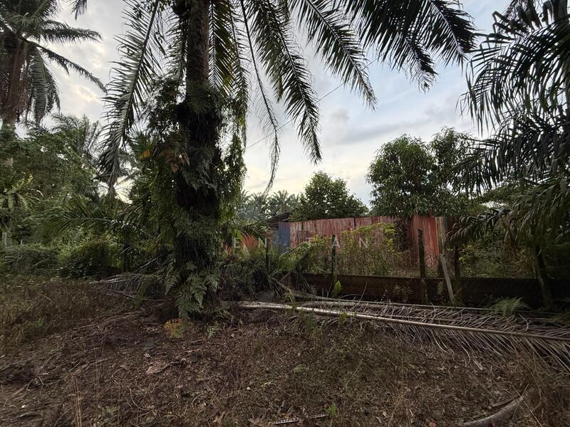 Pontian Jeram Batu Pontians Jerams Batus - 3