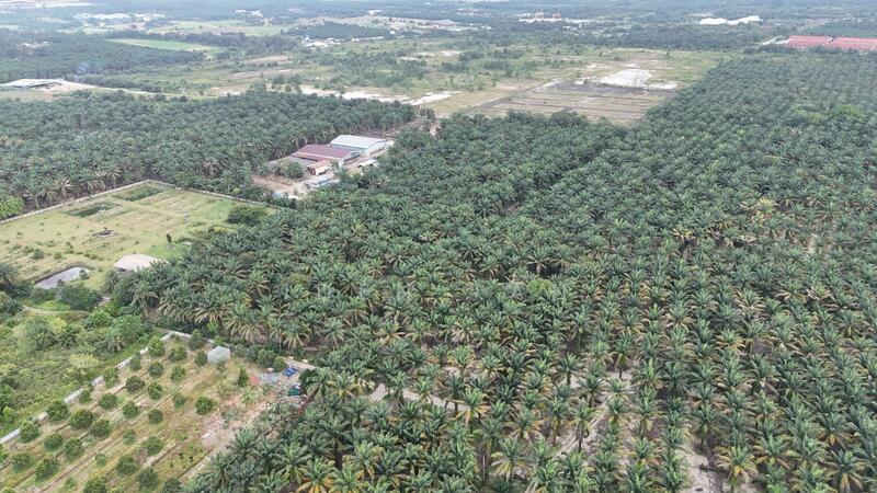Pontian Jeram Batu Pontians Jerams Batus - 1