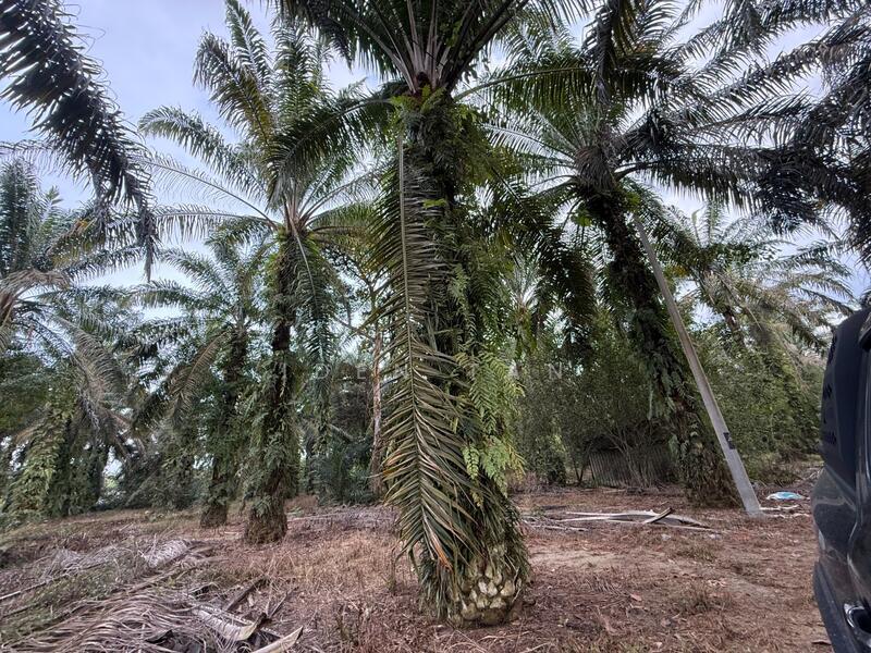 Pontian Jeram Batu Pontians Jerams Batus - 4