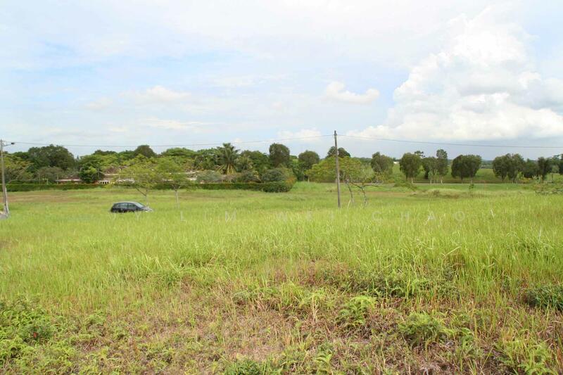 Leisure Farm - 2