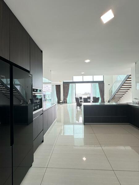 The Light Collection IV - 4