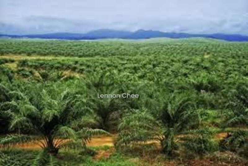 Bukit Beruntung rasa - 1