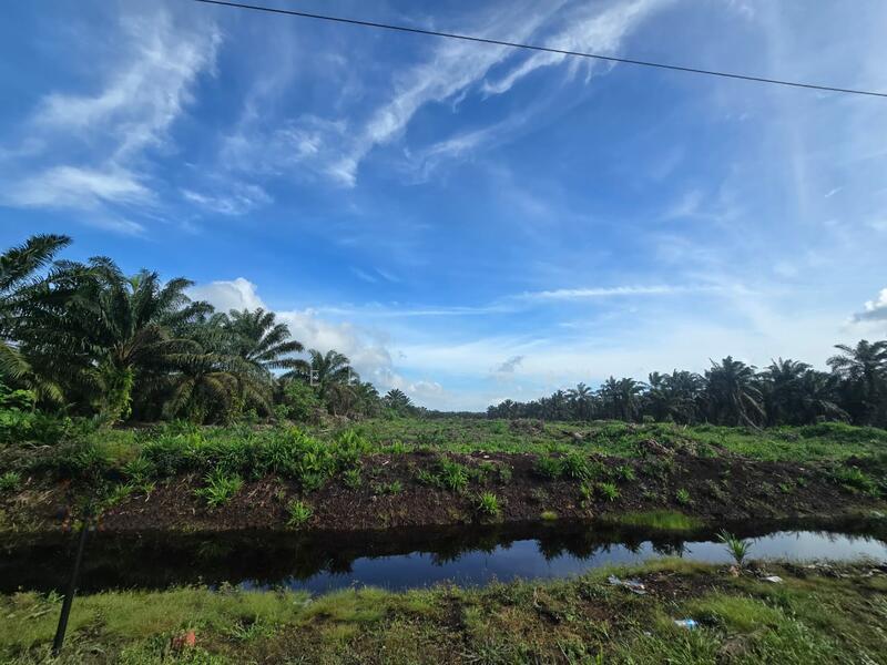 Kampung Rimba Terjun - 2