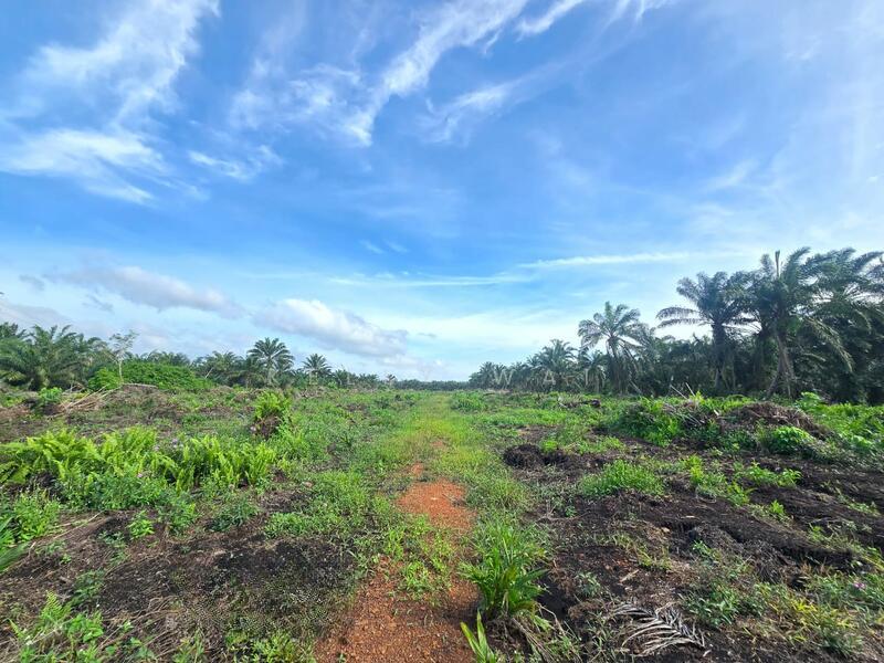 Kampung Rimba Terjun - 4