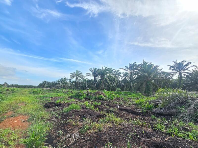 Kampung Rimba Terjun - 5