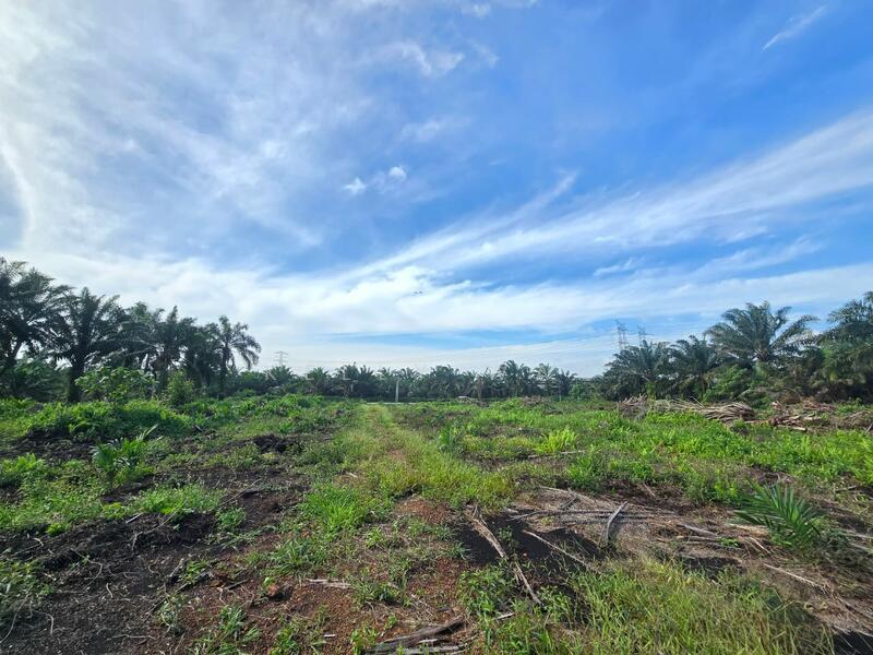 Kampung Rimba Terjun - 3