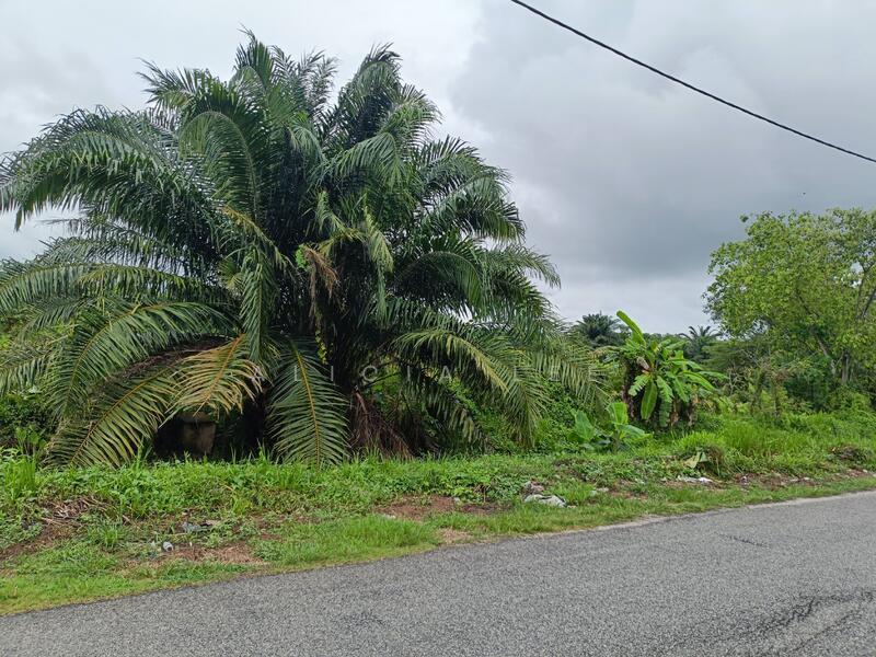 Jeram Kuala Selangor 11.2 acres agri land Industrial Zoning for sale - 1