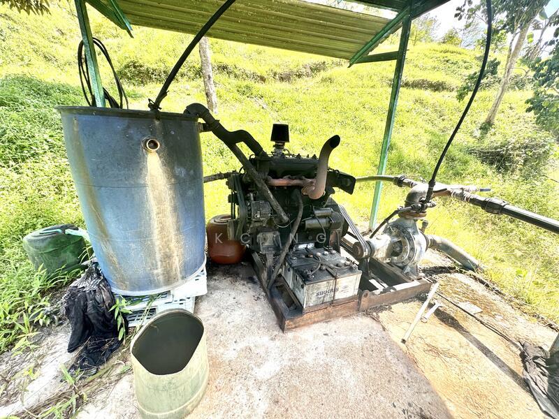 Gerik Perak Durian Farm For Sale, Freehold, Musang King Black Thorn Planted. - 5