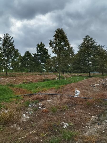 Freehold Durian Land, 10 acres, Rantau, Negeri Sembilan - 5