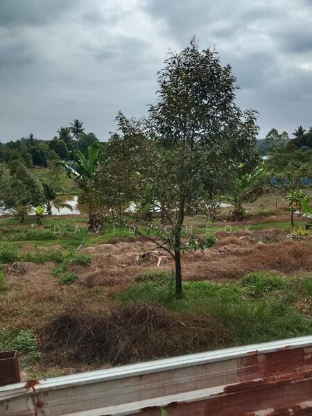 Freehold Durian Land, 10 acres, Rantau, Negeri Sembilan - 1