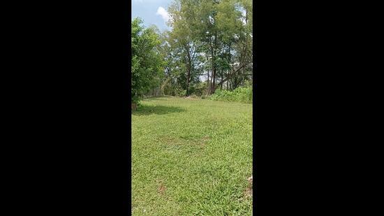 Bukit Rahman Putra - 3