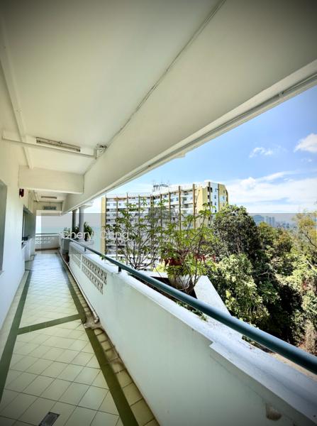 Seaview Garden - 3