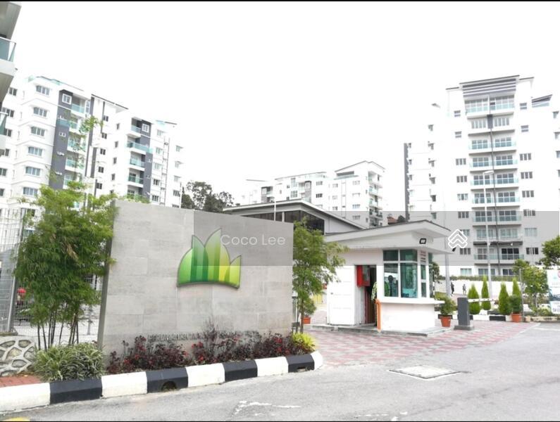 Quintet Serviced Apartment @ Cameron - 5