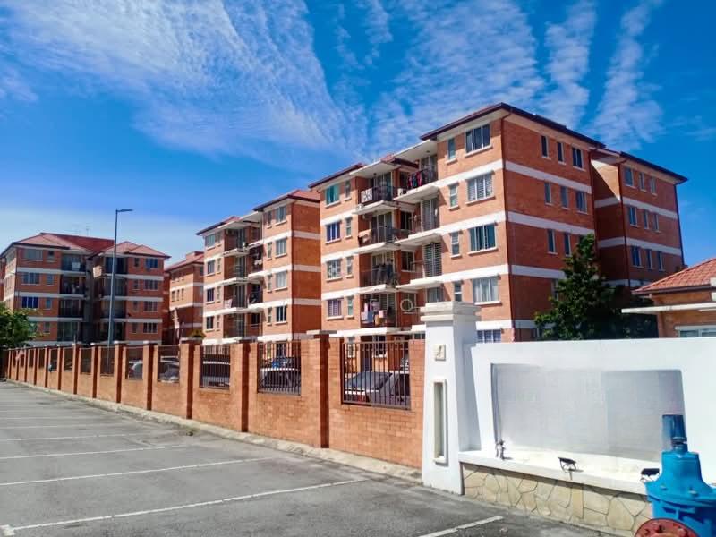 Alam Budiman (Sri Budiman) - 1