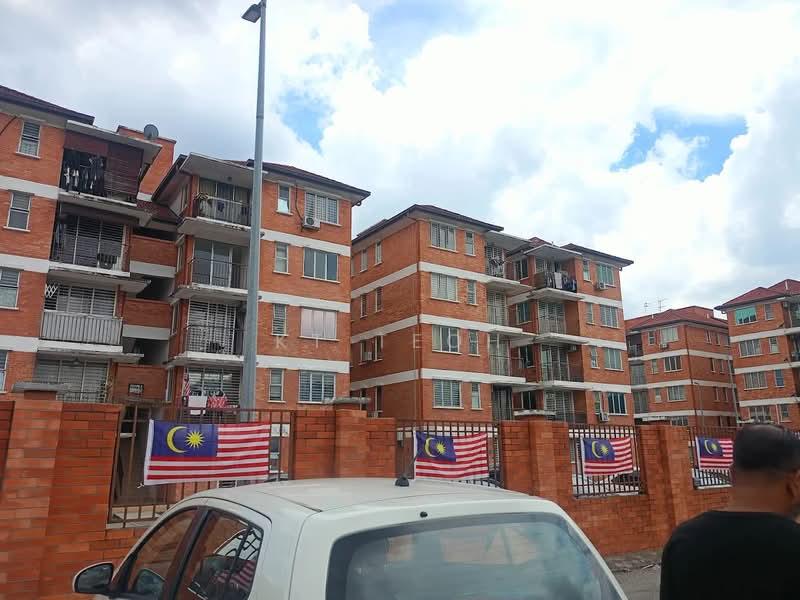 Alam Budiman (Sri Budiman) - 4