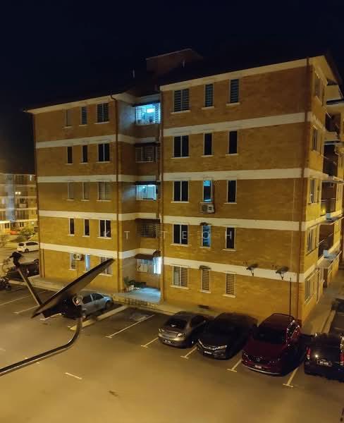 Alam Budiman (Sri Budiman) - 5